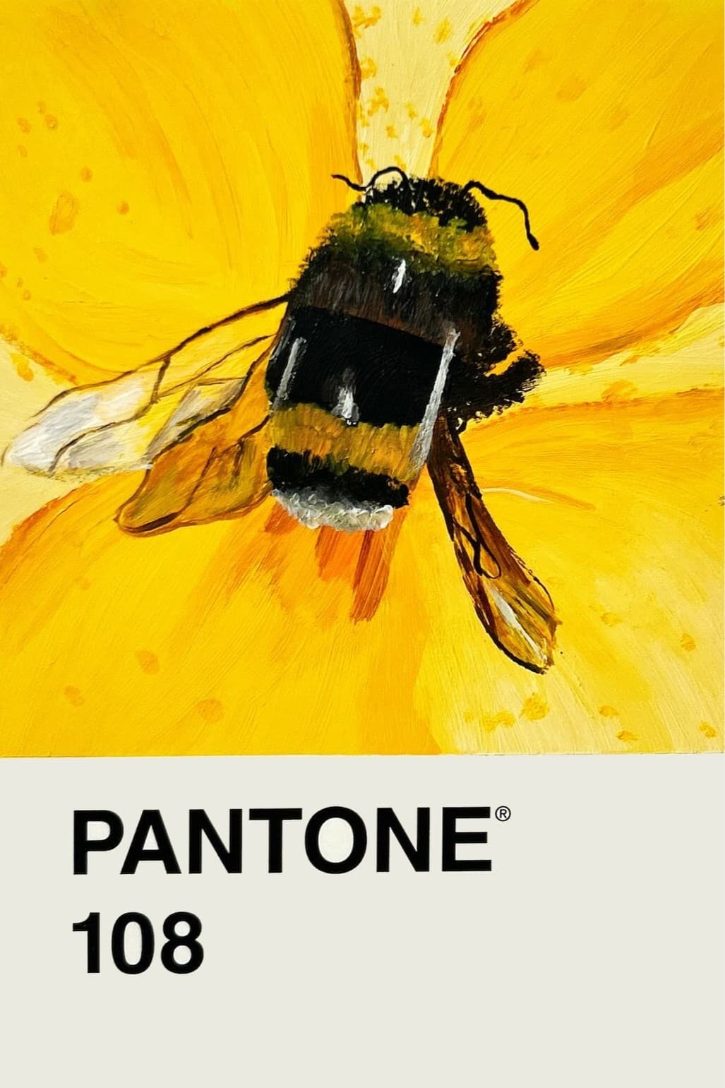Pantone 5/100