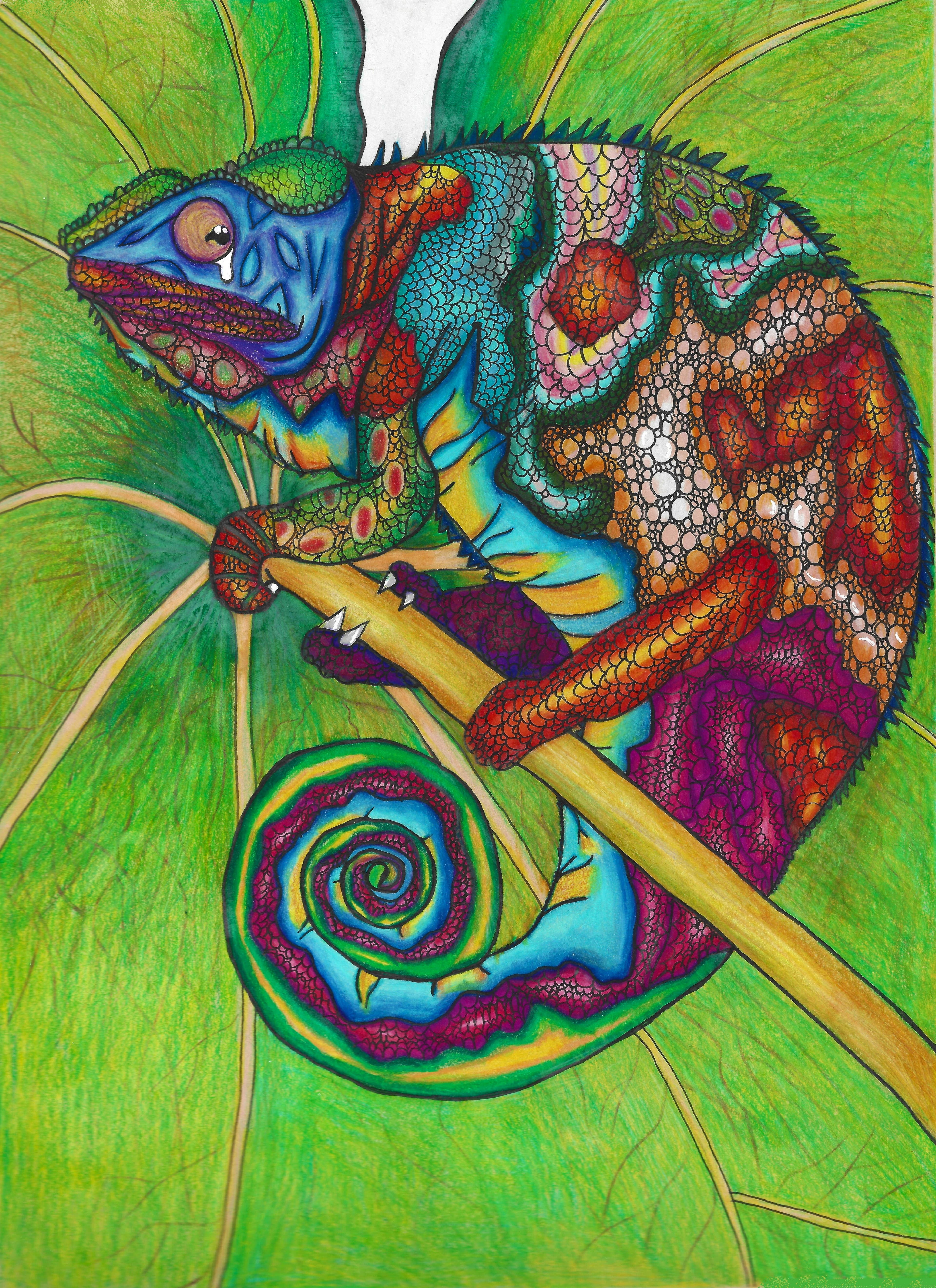 Caméléon