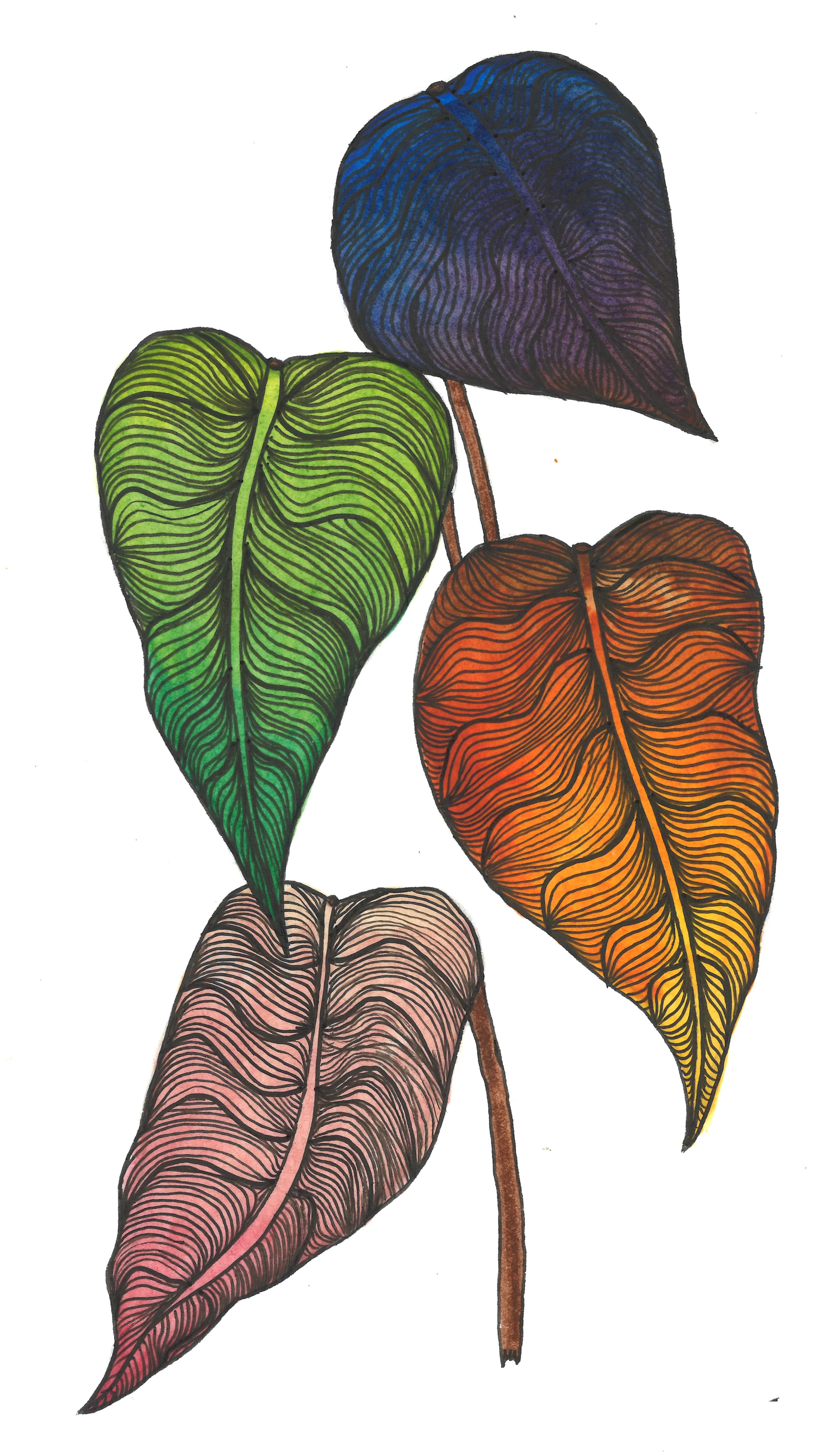 Feuilles d'été